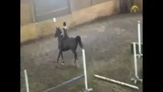 Maria Morton and Ray. Training session, small course