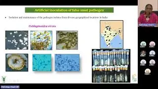 Guest lecture series- Pathology- Rice False Smut Disease 09.06.2023