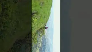 Couple Pre-wedding drone shoot 🐝 #shorts #prewedding #drone #nature #cinematicvideo #couple