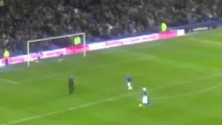 Everton mascot at the spurs match doing Cahill's goal celebration.