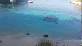 Cala Saladeta Ibiza