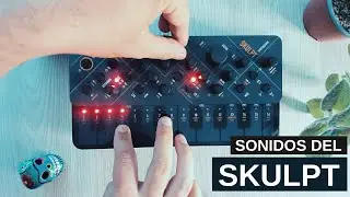 Skulpt - Modal Electronics - Sonido de sus presets [Sin hablar | No talking]