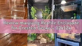 Review maiyuolg Reptile Enclosure for Crested Gecko &ndash; 12x12x18 Acrylic Reptile Tank for Gecko, Snake