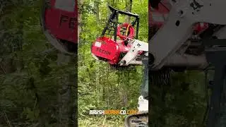 Turning Trees into Mulch