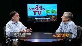 The Importance of Bees to Our Food Supply