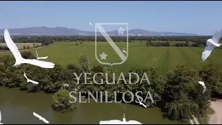 Yeguada Senillosa by Juanse Cruz