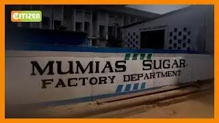 Leaders call for transparency in leasing Mumias Sugar