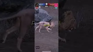 Hunting snipers:TOUR15 BUT AS REACTOR4