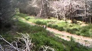 C&aacute;mara de caza - Footage - Ltl Acorn 5310MG - Desenfunda