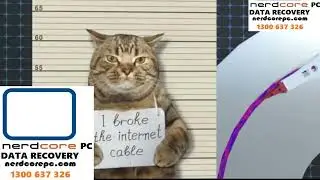 Cheapest Data Recovery Company Australia- Same Day Fast Data Recovery