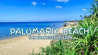 PALOMARIA BEACH SAN FRANCISO QUEZON // PIGEON TRAINING