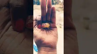 Самый крупный блестящий жук такого вида, которого я когда-либо находил. #насекомые #природа