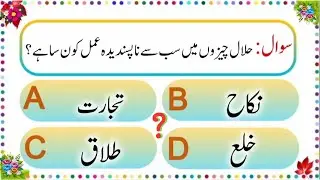 Islamic Quiz | General knowledge questions answers | Nikah aur Talaq | Karim Quiz | #014