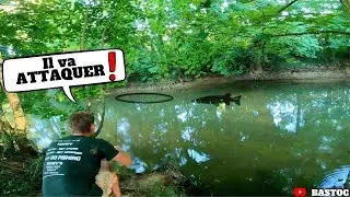 Il d&eacute;pose UN VIF juste ICI et r&eacute;ussit &agrave; ENCHAINER des BROCHETS, en tr&egrave;s peu de temps !!