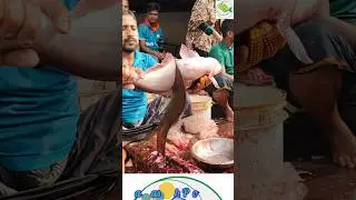 Amazing Great Delicious Pangas Fish Cutting & Processing | Fish Cutting Skills #streetfood #seafood
