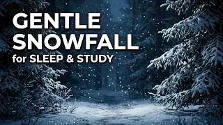 Falling Snow Sound Effect | Relaxing Winter Ambience