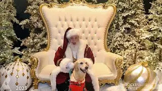 Rockefeller Christmas Tree 🎄 VIP tour closest you can get Top of the Rock #nyc #christmas
