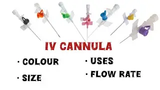 IV Cannula colour coding,uses,size and Flow rate in Hindi with Mnemonics #ivcannula 