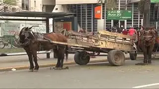 Tracci&oacute;n a sangre por motocargas: proyecto para carreros
