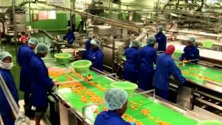 Langeberg and Ashton Foods Pty Ltd (English)
