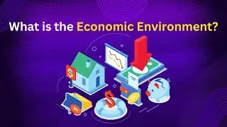 What is the Economic Environment ?