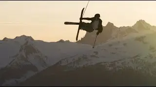 Teal Harle - WINTER 24