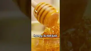 IMPORTANCE of honey #science #sciencefacts #honey #viral #viralshorts