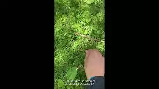 TouchGrass80