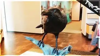 My Trip To Raven Software! Raven Software Studio Tour & Trip Vlog (Modern Warfare Remastered)