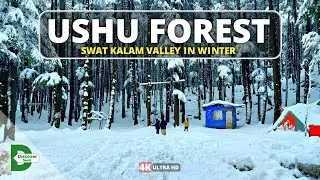 Snowfall In Swat Kalam Valley | Ushu Forest Amazing View In Winter | Latest Snowfal | Beautiful Swat