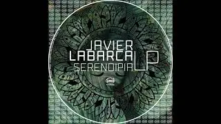 Javier Labarca - The Sunshine (Original Mix) Preview