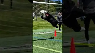 Division 1 College Goalkeeper Training