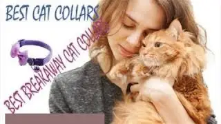 Best cat collars 2019 || Best breakaway cat collars 2019