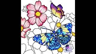 colour paint by number level 3