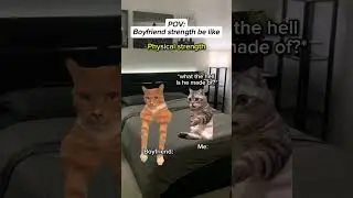 Boyfriend strength be like #relatable #catmemes #cat #funny #foryou #funnycat #catvideos #viral