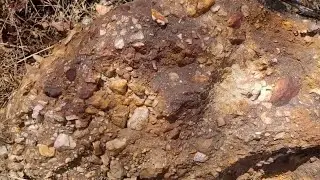 Quartz Vein and Quartz Conglomerate in the Castlemaine Group
