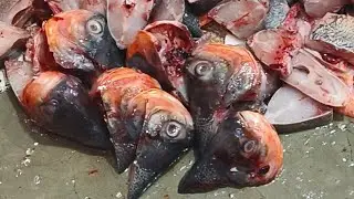 Daily fresh Fish Cutting in Market। लाइव प्रसारण मछली मार्केट। #viral #fishcutting #fish 