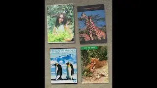 My Journal Collection | Filled Diaries & Scrapbooks from the '90s & 2000s! pt1