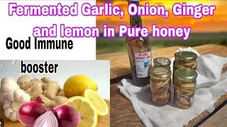 Fermented Garlic, Onion, Ginger and Lemon in pure honey/Good Immune Booster