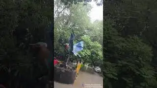 Hill View in Rain at Hyderabad City || Telangana#yshorts #telangana, #rain #hyderabad
