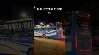 MAHOTTARI TIGER 🐯 #nightbus #shortvideos #luxurybusesinnepal #deluxebus #viralvideos #mahottari