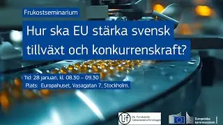Hur ska EU st&auml;rka svensk tillv&auml;xt och konkurrenskraft?