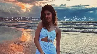Single Wild Wave - Agam Bar Shalom (prod by. Roy Sopher)