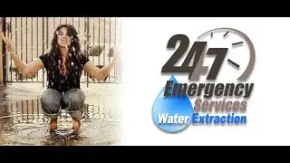 Emergency Water Removal Service from Car Interior Near Me