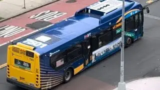 NYC Bus: #7501 On The Bx5 To Pelham Bay Park @ Story Ave! #nyctransit #shorts