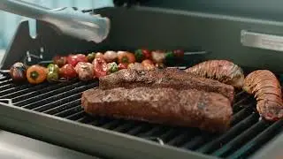 Vermont Castings 2-Burner Propane BBQ with TempASSURED Technology&trade;