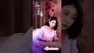 Chinese traditional musical instruments perform world-famous pieces#music #beautiful #cover