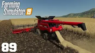 Farming Simulator 19 - GAMEPLAY - Mais Calc&aacute;rio #89 60 FPS FHD