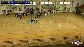 Friendly match: France - Hungary