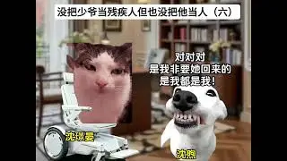 没把少爷当残疾人但也没把他当人 #猫meme剧  #猫meme小故事 #猫meme  #猫meme故事 #猫meme小剧场